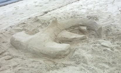 sand shark